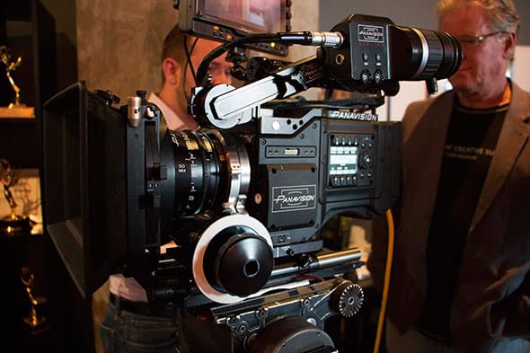 beesline tanning oil gold